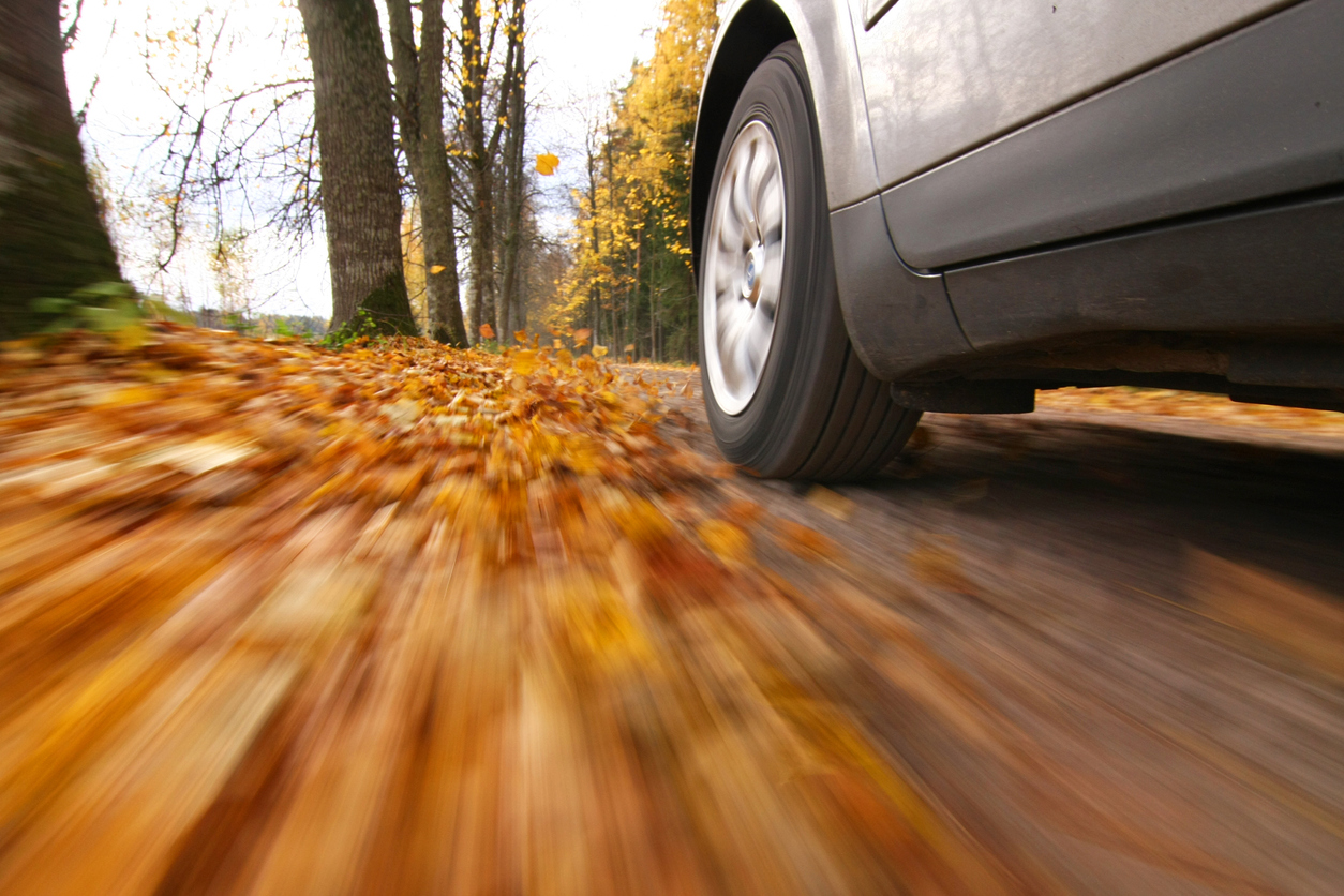 Fall Auto Loan