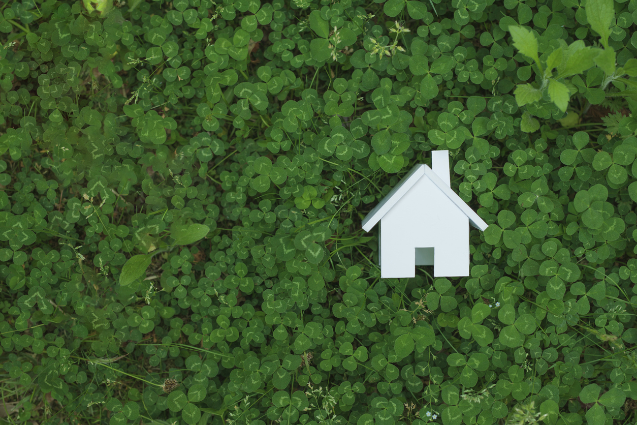 Shamrock House