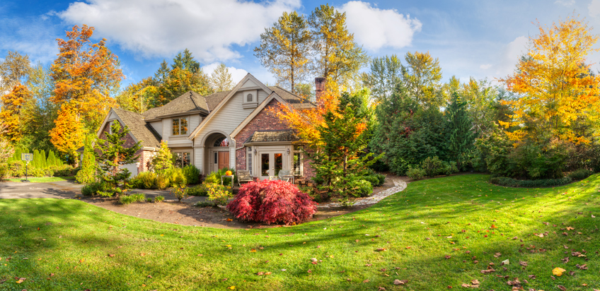 Fall Improvements