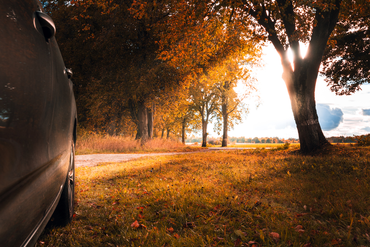 Fall Car